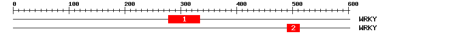 Signature Domain