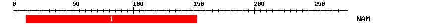 Signature Domain