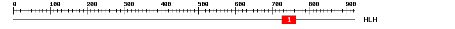 Signature Domain