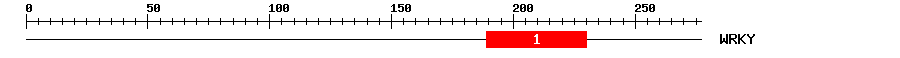Signature Domain