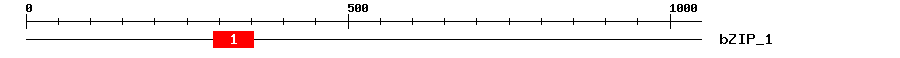 Signature Domain
