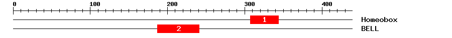 Signature Domain
