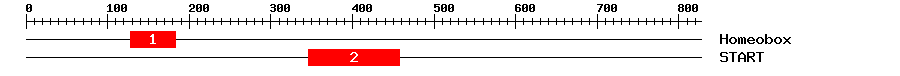 Signature Domain