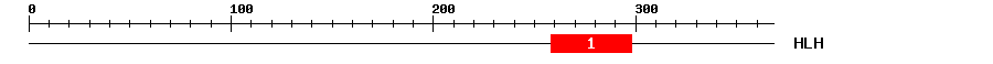 Signature Domain