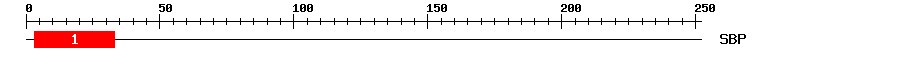 Signature Domain