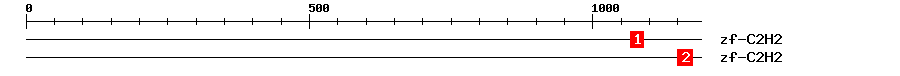 Signature Domain