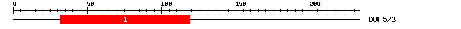 Signature Domain