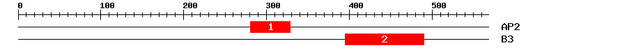 Signature Domain