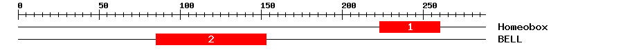 Signature Domain