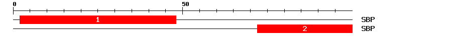 Signature Domain