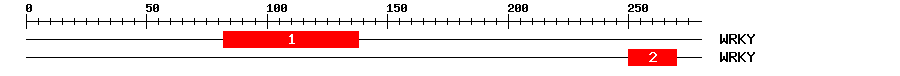 Signature Domain