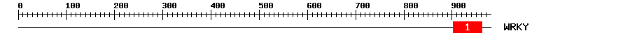 Signature Domain