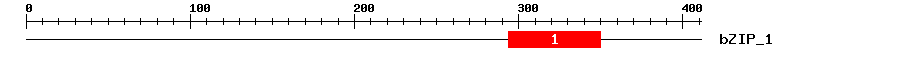 Signature Domain
