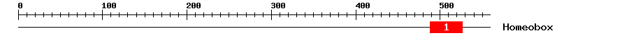 Signature Domain