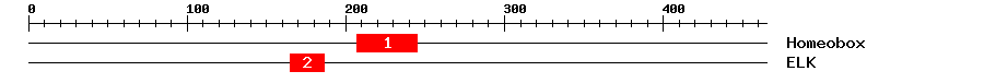 Signature Domain