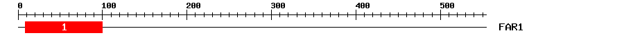 Signature Domain