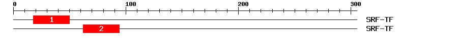 Signature Domain