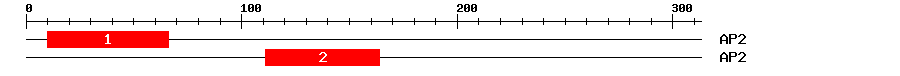 Signature Domain