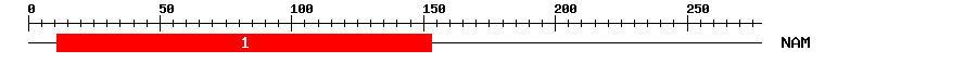 Signature Domain