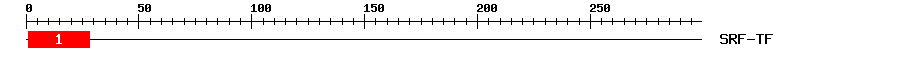 Signature Domain