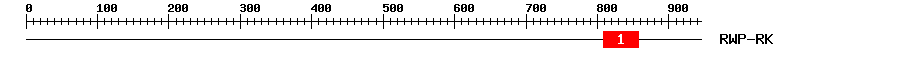 Signature Domain