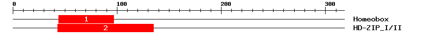 Signature Domain