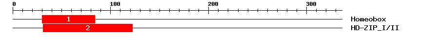 Signature Domain