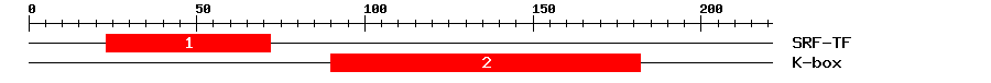 Signature Domain