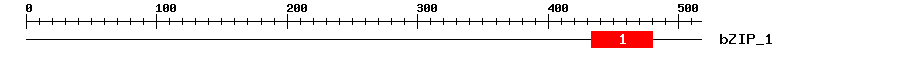 Signature Domain