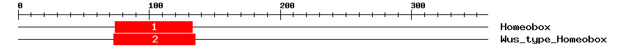 Signature Domain