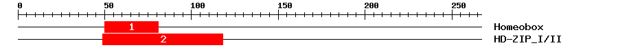 Signature Domain