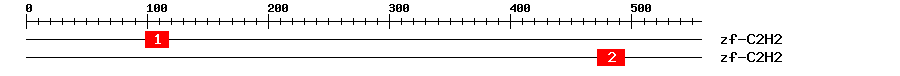 Signature Domain
