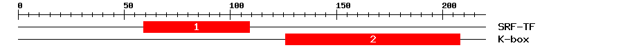 Signature Domain