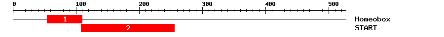 Signature Domain