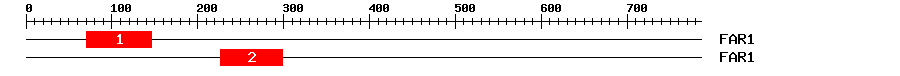 Signature Domain