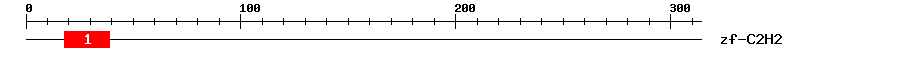 Signature Domain