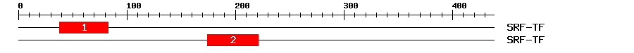 Signature Domain