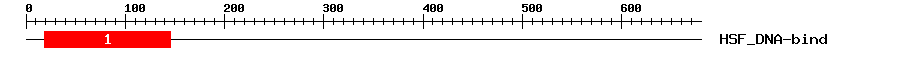 Signature Domain