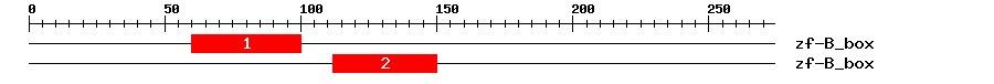 Signature Domain