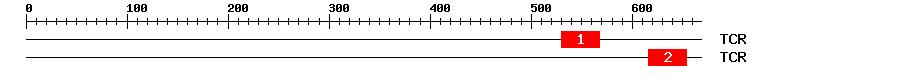 Signature Domain