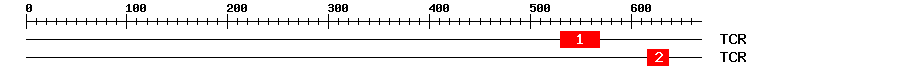 Signature Domain