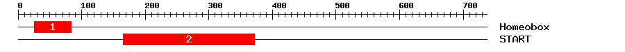 Signature Domain