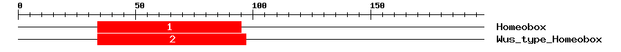 Signature Domain