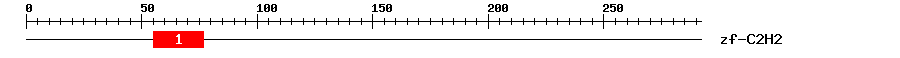 Signature Domain