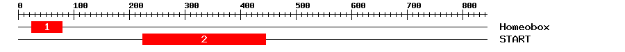 Signature Domain