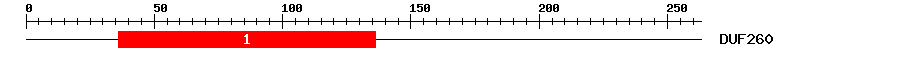 Signature Domain