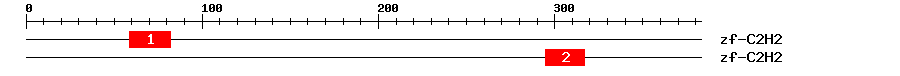 Signature Domain