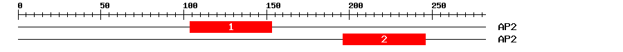 Signature Domain