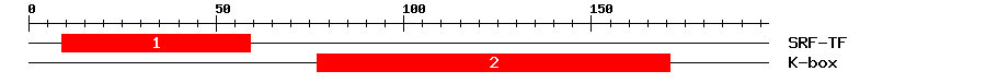 Signature Domain