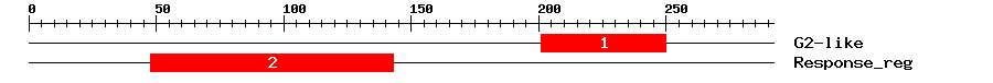 Signature Domain